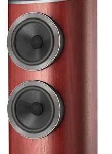 Enceinte colonne Bowers & Wilkins 802 D4 Satin Rosenut (Unité)